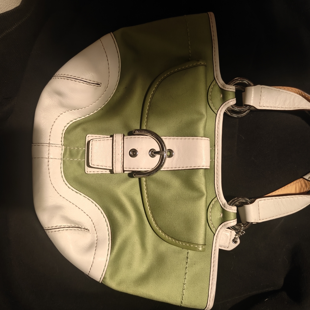 Stylish Green and White Women's Bag